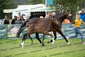 257 Escolar x Krack C  U7I4175