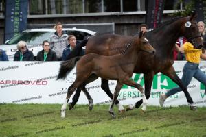 257 Escolar x Krack C  U7I4187