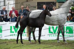 258 Finest x Belantis  U7I4190