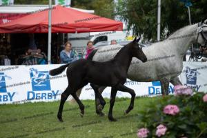 258 Finest x Belantis  U7I4197