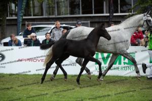 258 Finest x Belantis  U7I4200