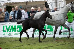 258 Finest x Belantis  U7I4203