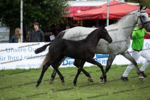 258 Finest x Belantis  U7I4208