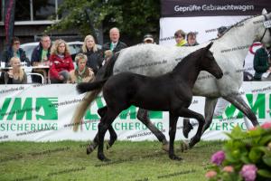 258 Finest x Belantis  U7I4211