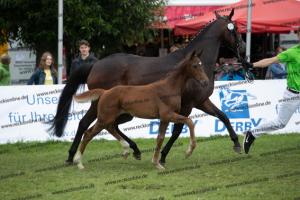 259 Foundation x Fürst Romancier  U7I4218