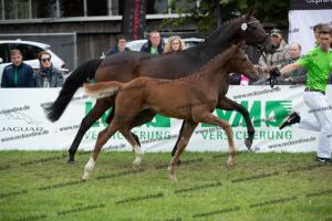 259 Foundation x Fürst Romancier  U7I4221