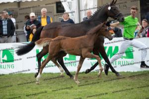 259 Foundation x Fürst Romancier  U7I4223