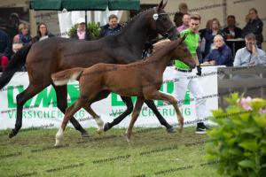 259 Foundation x Fürst Romancier  U7I4224