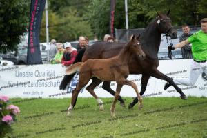 259 Foundation x Fürst Romancier  U7I4228