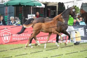 261 La Vie x Alabaster  U7I4235