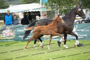 261 La Vie x Alabaster  U7I4237