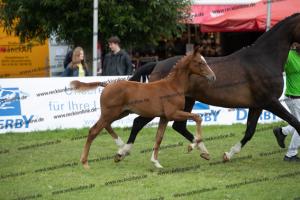 261 La Vie x Alabaster  U7I4238