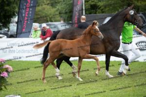 261 La Vie x Alabaster  U7I4239