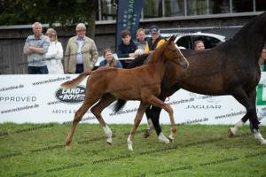 261 La Vie x Alabaster  U7I4241