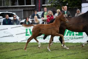 261 La Vie x Alabaster  U7I4242