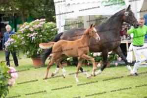 261 La Vie x Alabaster  U7I4245