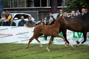 261 La Vie x Alabaster  U7I4253