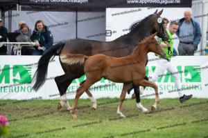 261 La Vie x Alabaster  U7I4254