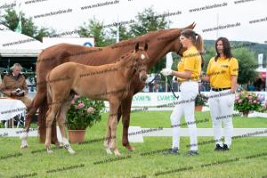 263 Sir Heinrich x Fleury DSC07489