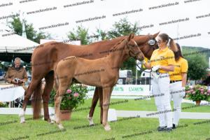 263 Sir Heinrich x Fleury DSC07503