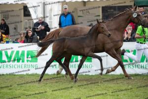 266 Goldberg x Escolar  U7I4315