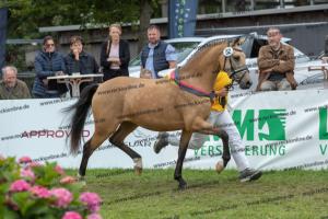 052_New Age x Can Dance (Pretty Girl M)_U7I5295